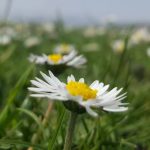 Blog Görsel